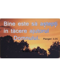 Bine este sa astepti in tacere
