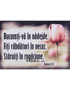 Bucurati-va in nadejde