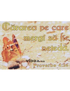 Cararea pe care mergi sa fie neteda