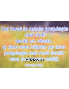 Cel incet la manie pretuieste mai mult