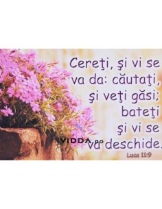 Cereti si vi se va da: cautati, si veti gasi