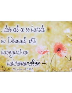 Dar cel ce se incred in Domnul