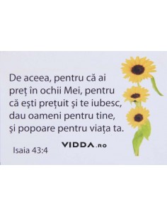 De aceea, pentru că ai preţ în ochii Mei