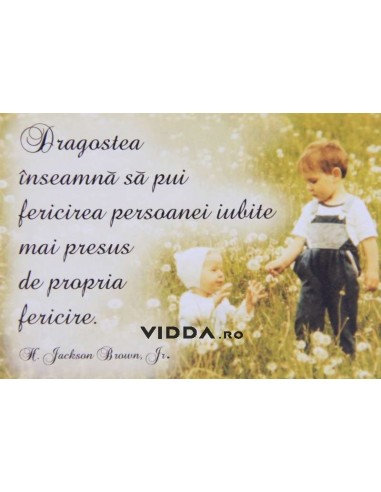 Dragostea inseamna sa pui fericirea persoanei iubite