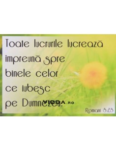 Toate lucrurile lucreaza impreuna