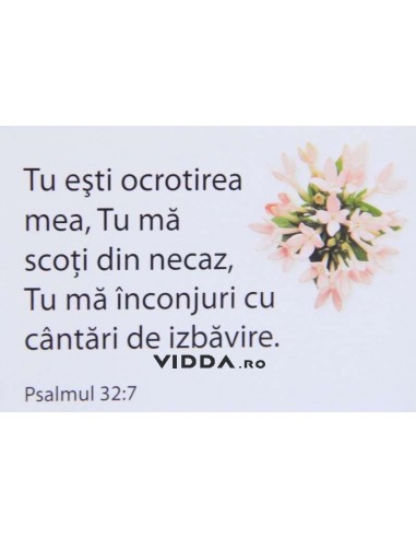 Tu esti ocrotirea mea, Tu ma scoti din necaz