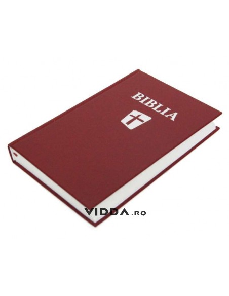 Biblia NTR Visinie Cartonata