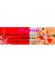 Semn - Mama multumesc pentru nenumaratele feluri