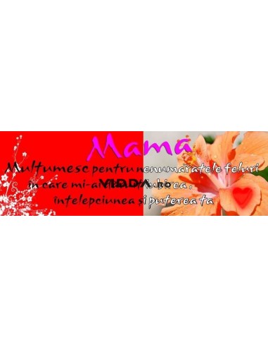Semn - Mama multumesc pentru nenumaratele feluri