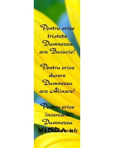 Semn - Pentru orice tristete Dumnezeu are bucurie